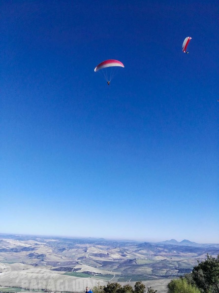 FA101.17_Algodonales-Paragliding-445.jpg