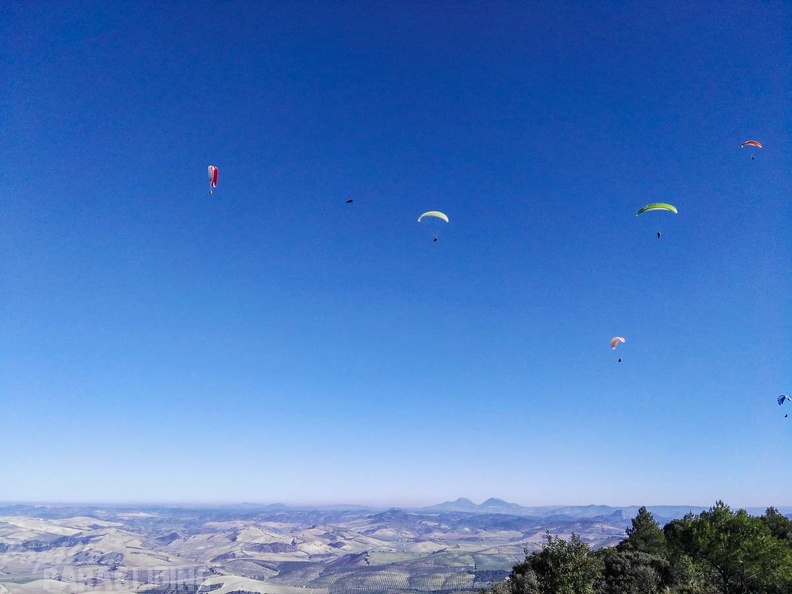 FA101.17 Algodonales-Paragliding-451
