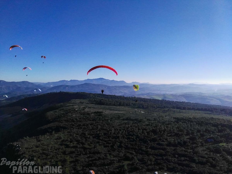 FA101.17 Algodonales-Paragliding-511