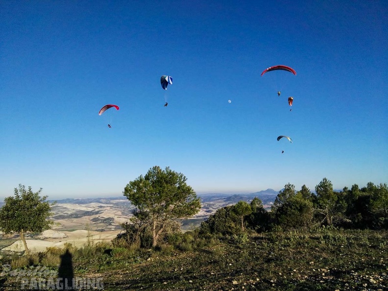 FA101.17 Algodonales-Paragliding-637