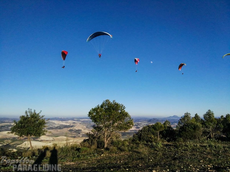 FA101.17 Algodonales-Paragliding-645