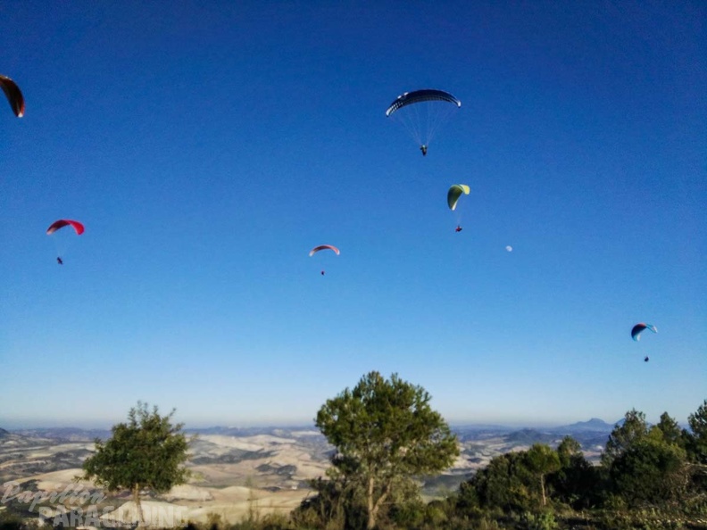 FA101.17 Algodonales-Paragliding-648