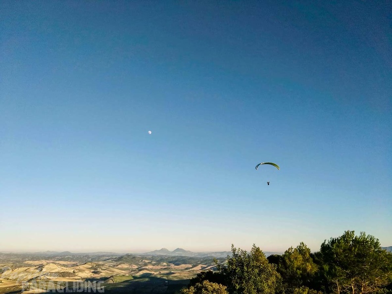 FA101.17 Algodonales-Paragliding-698