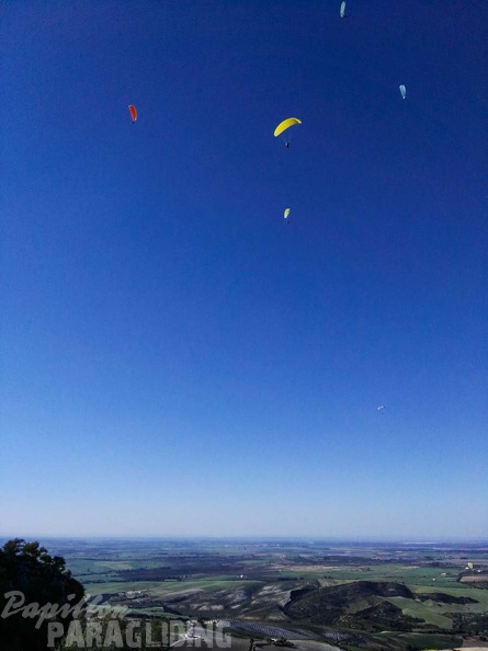 FA14.17 Algodonales-Paragliding-154
