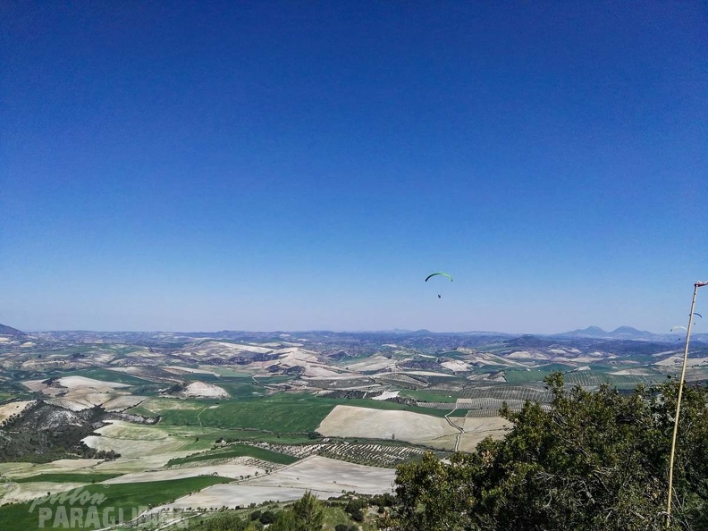 FA14.17 Algodonales-Paragliding-170