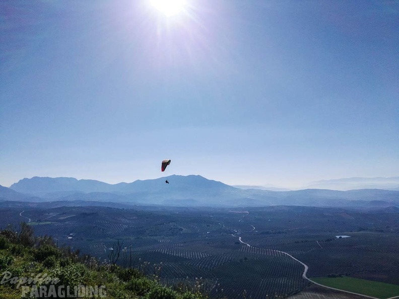 FA14.17 Algodonales-Paragliding-233