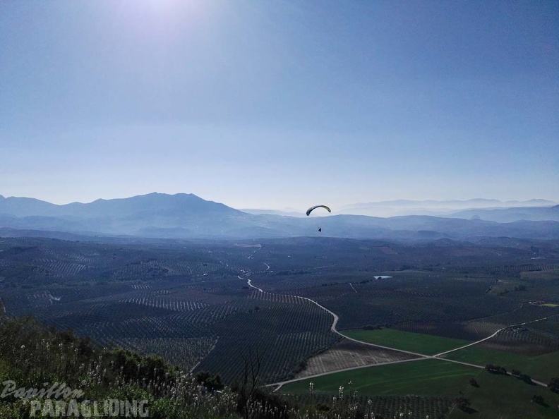 FA14.17 Algodonales-Paragliding-243