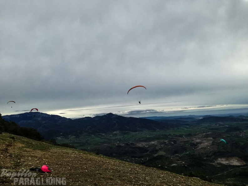 259 FA10.18 Algodonales Papillon-Paragliding