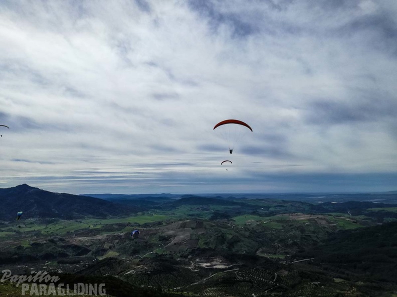 278 FA10.18 Algodonales Papillon-Paragliding
