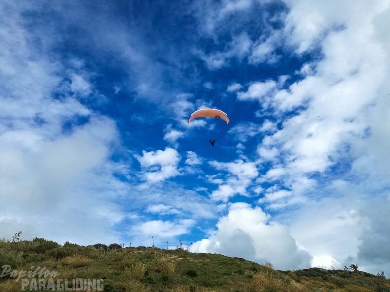 354_FA10.18_Algodonales_Papillon-Paragliding.jpg