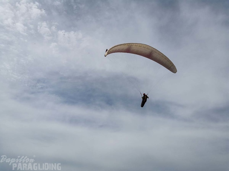 268 Papillon Paragliding Algodonales-FA11.18 244 268 268