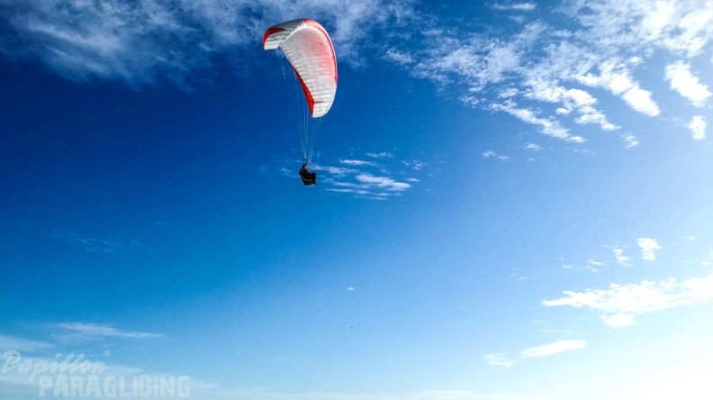 378_Papillon_Paragliding_Algodonales-FA11.18_136_378_378.jpg