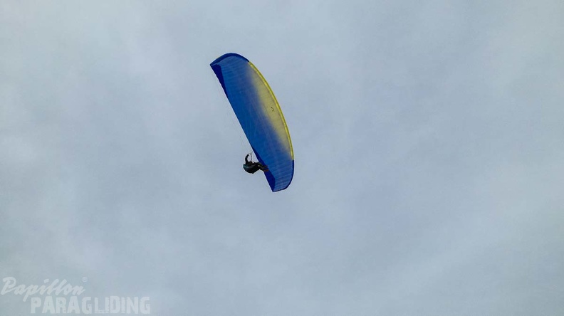 392_Papillon_Paragliding_Algodonales-FA11.18_122_392_392.jpg