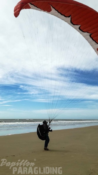 394 Papillon Paragliding Algodonales-FA11.18 118 394 394