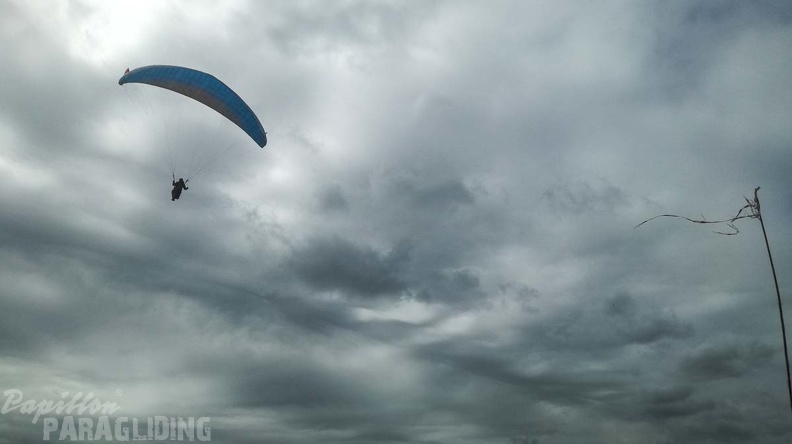 464_Papillon_Paragliding_Algodonales-FA11.18_52_464_464.jpg