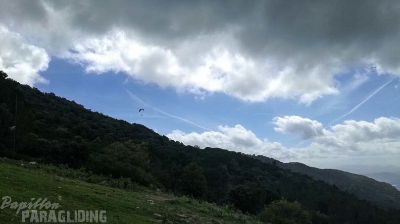 477_Papillon_Paragliding_Algodonales-FA11.18_33_477_477.jpg