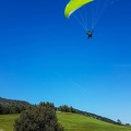 FA16.18 Paragliding-Algodonales-188