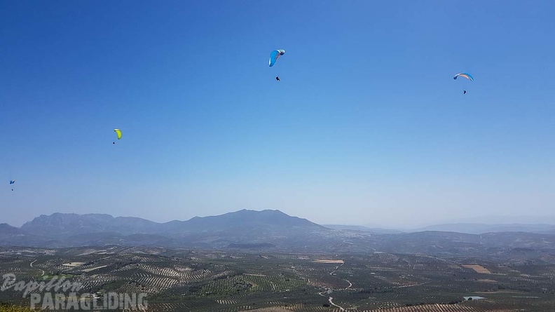 FA16.18_Paragliding-Algodonales-289.jpg