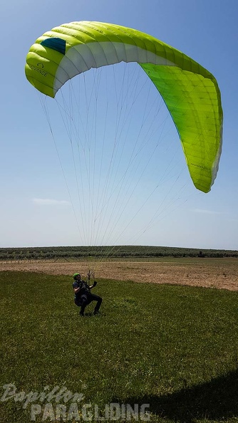 FA16.18_Paragliding-Algodonales-330.jpg