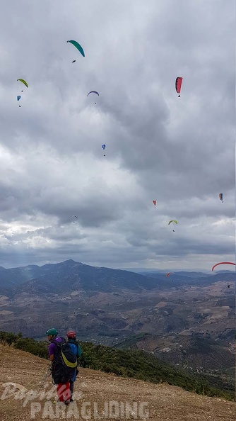 FA41.18 Algodonales-Paragliding-311