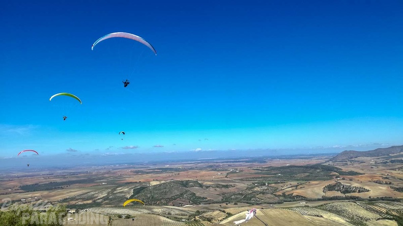 FA44.18_Algodonales-Paragliding-123.jpg