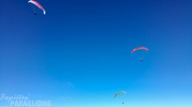FA44.18_Algodonales-Paragliding-127.jpg