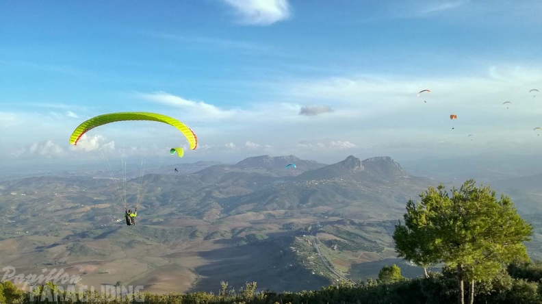 FA46.18_Algodonales-Paragliding-418.jpg