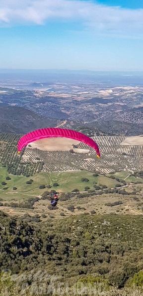 FA1.19_Algodonales-Paragliding-1285.jpg
