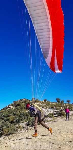 FA1.19_Algodonales-Paragliding-1308.jpg