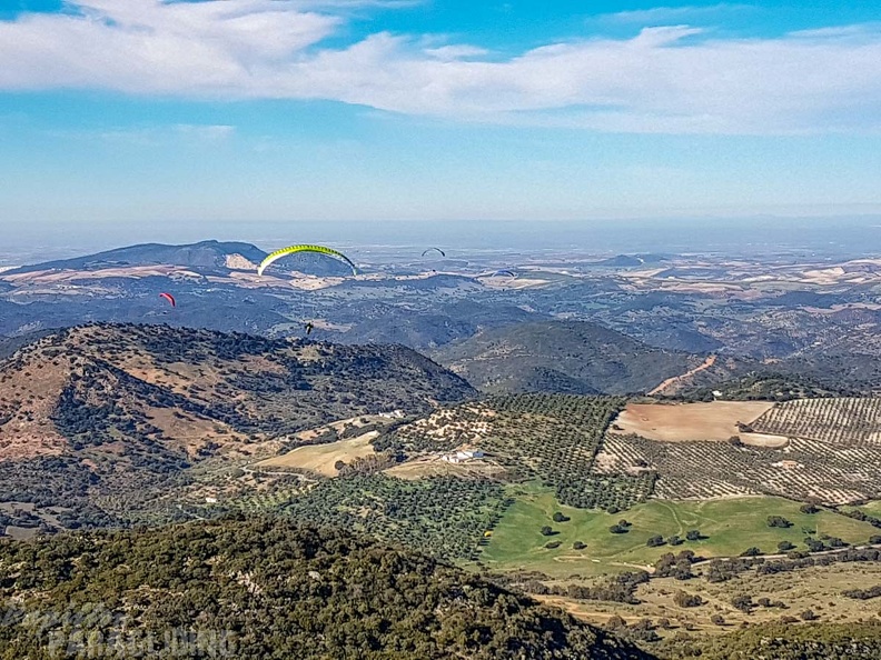FA1.19_Algodonales-Paragliding-1359.jpg