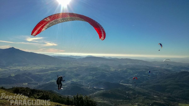 FA1.19_Algodonales-Paragliding-1399.jpg