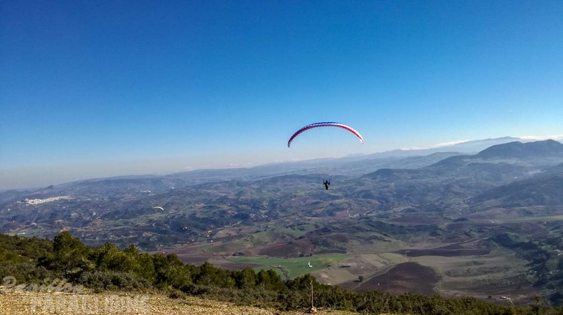 FA1.19_Algodonales-Paragliding-1545.jpg