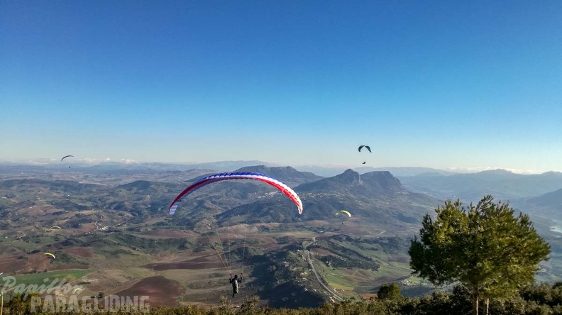 FA1.19_Algodonales-Paragliding-1593.jpg