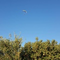 FA11.19 Algodonales-Paragliding-522
