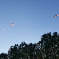 FA11.19 Algodonales-Paragliding-527