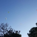 FA11.19 Algodonales-Paragliding-529