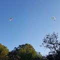 FA11.19 Algodonales-Paragliding-530