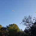 FA11.19 Algodonales-Paragliding-531