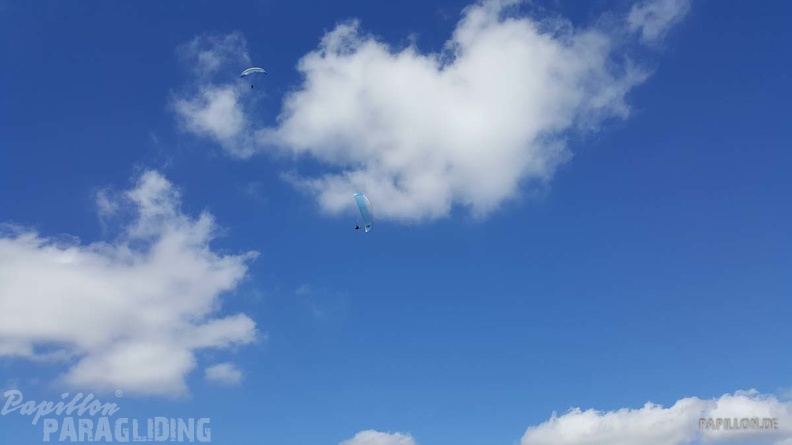 FA11.19 Algodonales-Paragliding-574