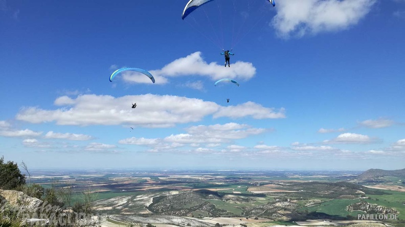 FA11.19 Algodonales-Paragliding-584