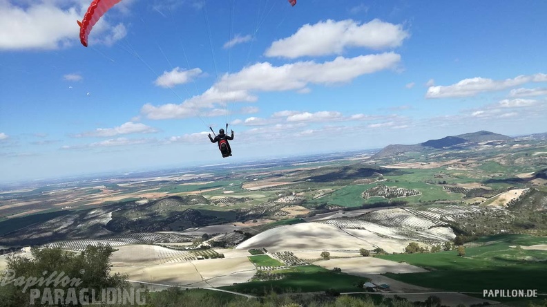 FA11.19 Algodonales-Paragliding-601