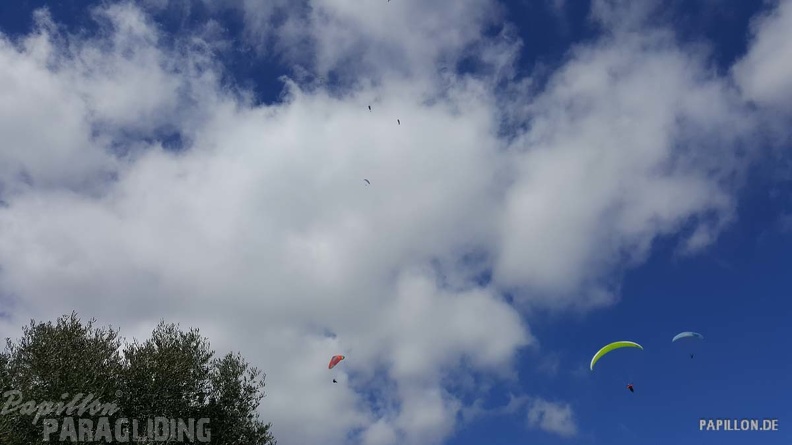 FA11.19 Algodonales-Paragliding-620