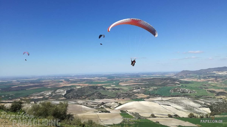 FA11.19 Algodonales-Paragliding-629