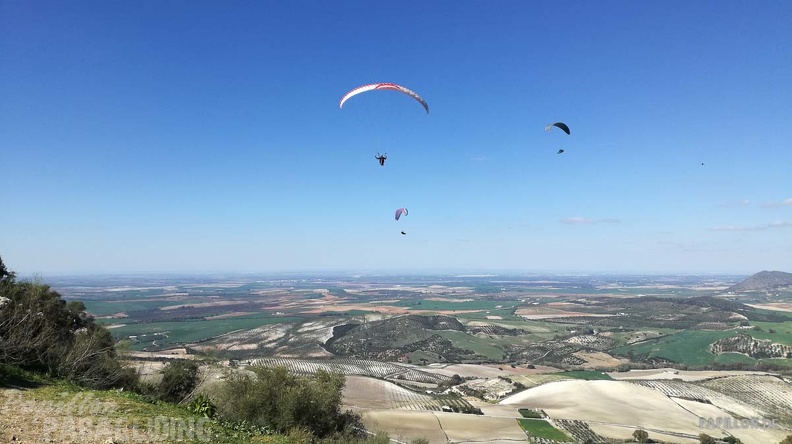 FA11.19 Algodonales-Paragliding-630