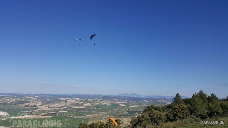 FA11.19 Algodonales-Paragliding-649