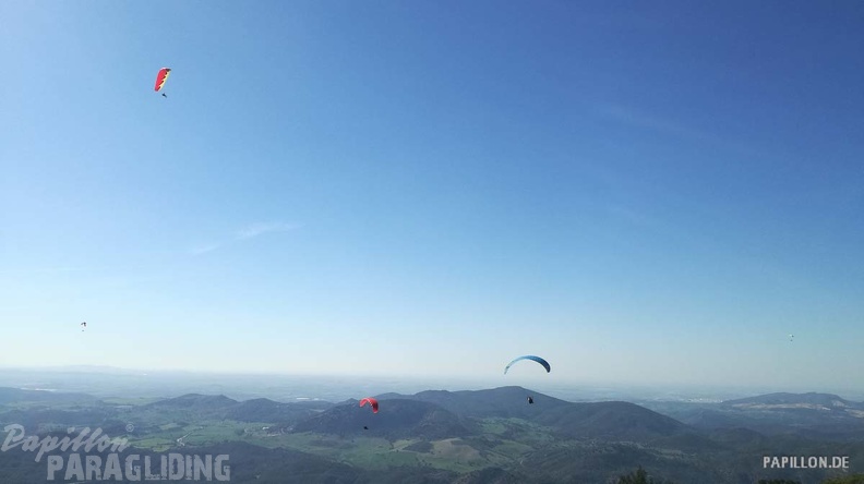 FA11.19_Algodonales-Paragliding-781.jpg