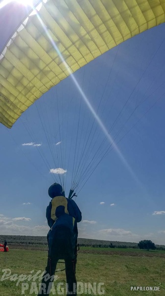 FA12.19 Algodonales-Paragliding-255