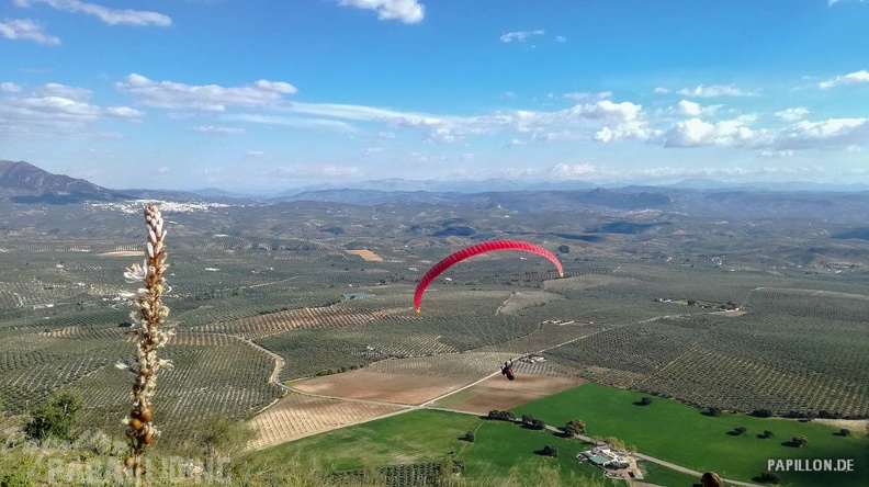 FA12.19_Algodonales-Paragliding-283.jpg