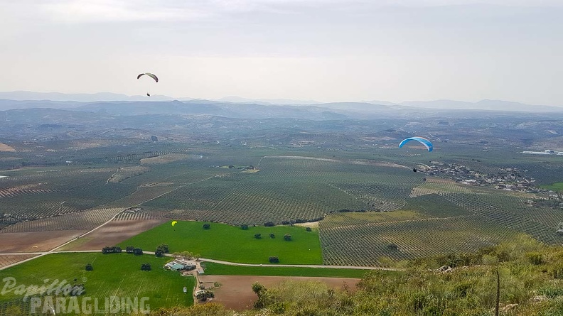FA13.19 Algodonales-Paragliding-143