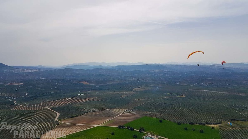 FA13.19 Algodonales-Paragliding-146
